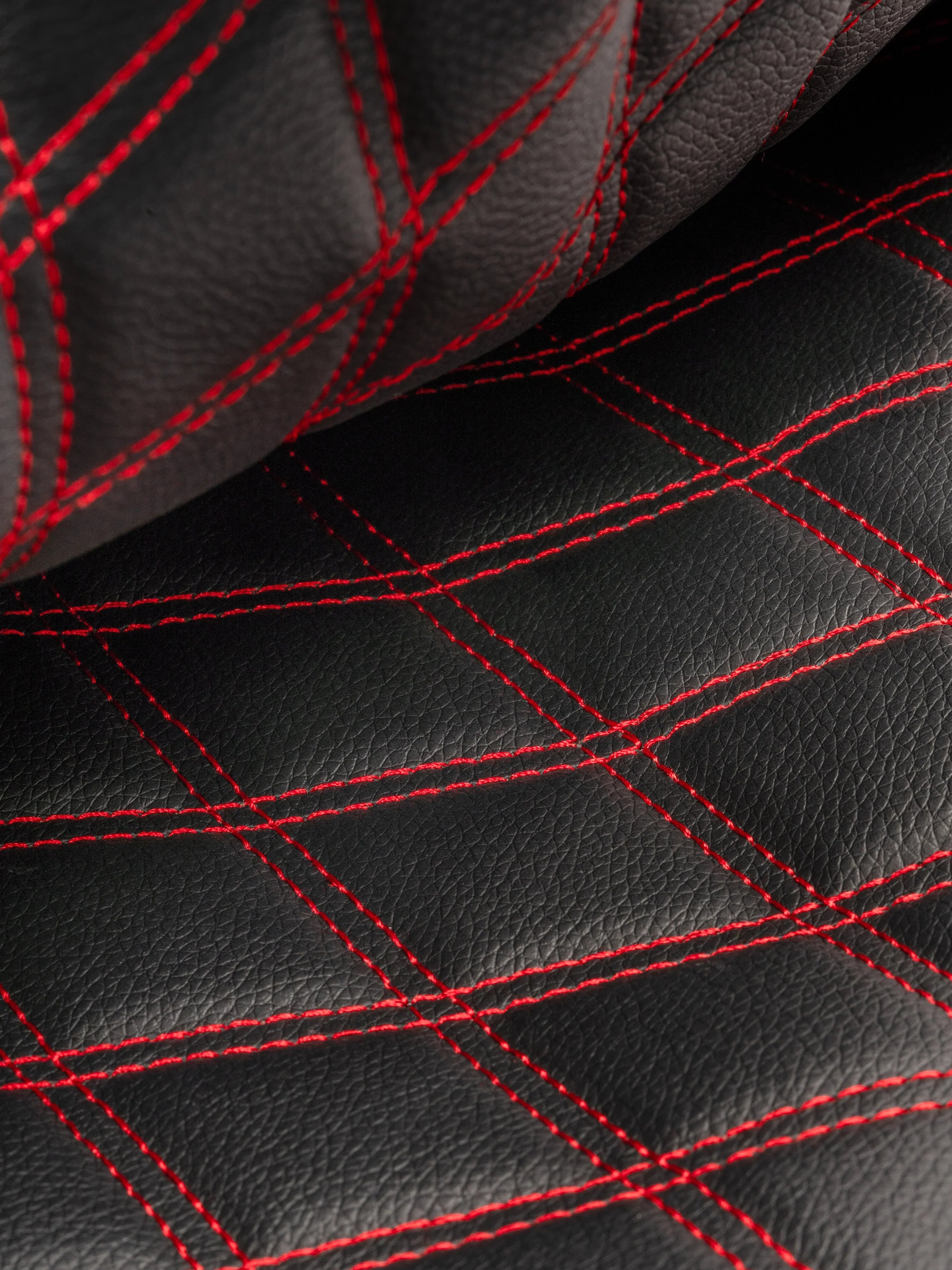 Selkirk LABS Red Paddle Collectors Case